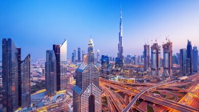 Dubai considers reducing fees for commercial activities after introducing federal tax on companies